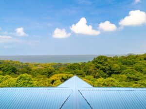 DJI_20250401091859_0483_D