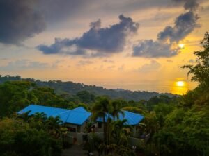 DJI_20250401170227_0519_D