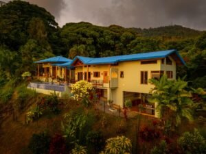 DJI_20250401170723_0526_D