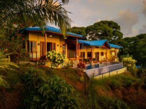 DJI_20250401171817_0527_D