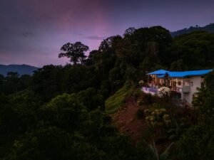 DJI_20250401175318_0544_D