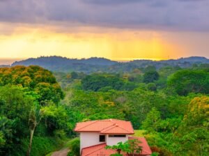 DJI_20250407161900_0011_D-9