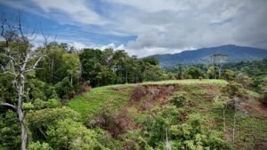 Dan Lancinger Costa Rica Real Estate Uvita 10