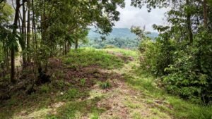 Dan Lancinger Costa Rica Real Estate Uvita 11