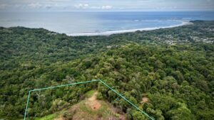 Dan Lancinger Costa Rica Real Estate Uvita 2