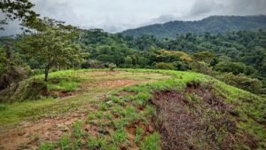 Dan Lancinger Costa Rica Real Estate Uvita 9