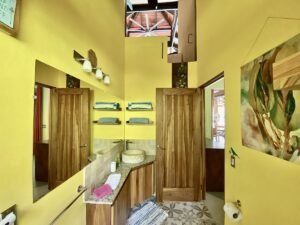 Dan Lancinger Real Estate Costa Rica 21