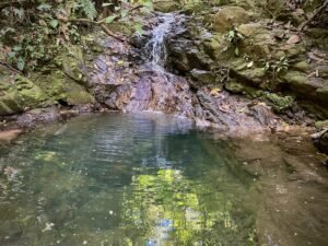 Dan Lancinger Real Estate Costa Rica 29