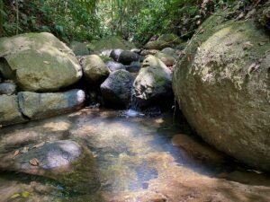 Dan Lancinger Real Estate Costa Rica 30