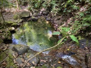 Dan Lancinger Real Estate Costa Rica 31