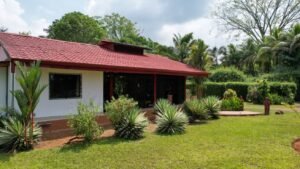 Osa Tropical Properties 8166 two houses in Ojochal11