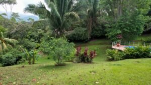Osa Tropical Properties 8166 two houses in Ojochal20