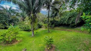 Osa Tropical Properties 8166 two houses in Ojochal46