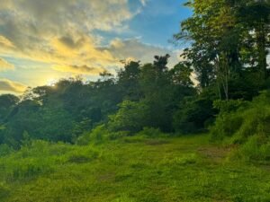 Photo Mar 07 2025, 5 05 27 PM