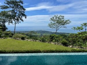 Whales Tail View from pool