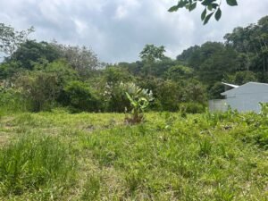 WhatsApp Image 2025-04-11 at 8.48.53 AM (3)