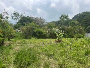 WhatsApp Image 2025-04-11 at 8.48.53 AM (4)