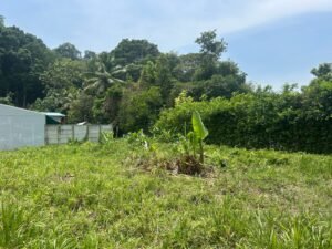 WhatsApp Image 2025-04-11 at 8.48.54 AM