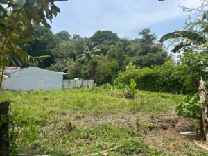 WhatsApp Image 2025-04-11 at 8.48.55 AM (2)