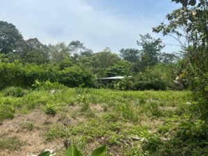 WhatsApp Image 2025-04-11 at 8.48.55 AM (3)