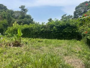 WhatsApp Image 2025-04-11 at 8.48.55 AM