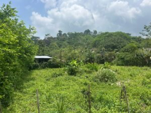 WhatsApp Image 2025-04-11 at 8.48.55 AM (4)