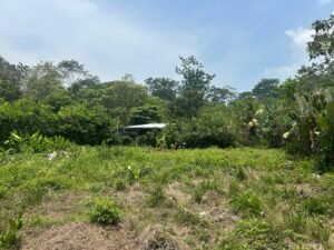 WhatsApp Image 2025-04-11 at 8.48.56 AM