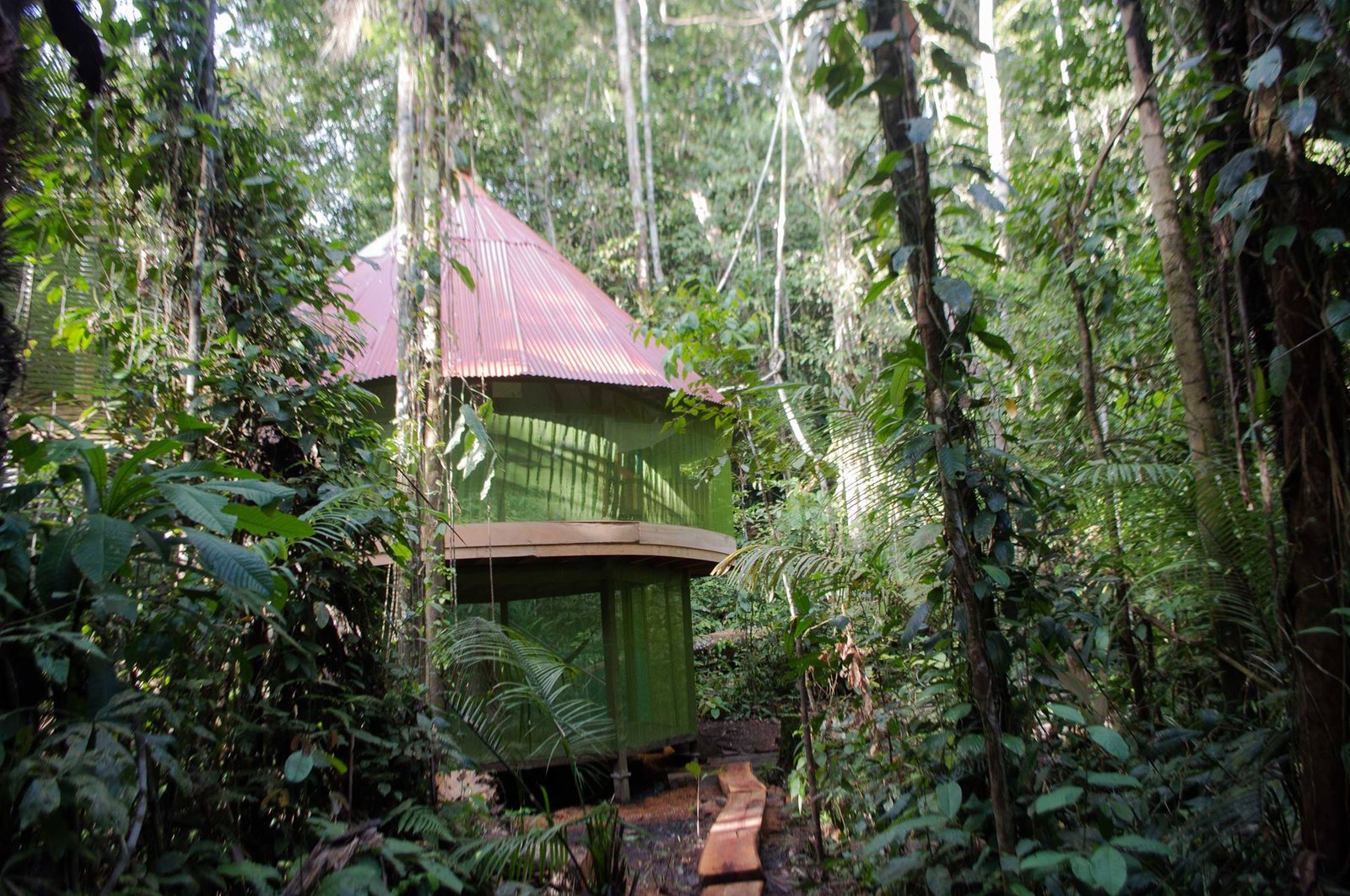 Plant medicine centers may offer a real middle-of-nowhere experience. While people have different reasons for attending, no one walks out the same person they were when they walked in.
