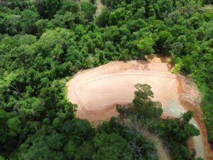 dji_fly_20250212_124158_385_1739385740398_photo