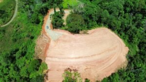 dji_fly_20250212_124320_388_1739385981703_photo_optimized