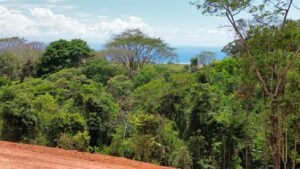 dji_fly_20250212_124526_391_1739386121874_photo_optimized