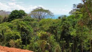 dji_fly_20250212_124546_392_1739386237415_photo_optimized