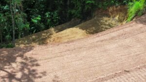 dji_fly_20250212_124624_393_1739386197550_photo_optimized