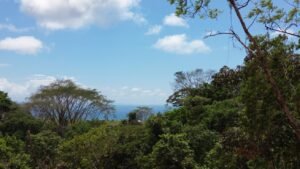 dji_fly_20250212_124652_396_1739386208921_photo_optimized