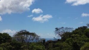 dji_fly_20250212_124750_404_1739386324112_photo_optimized