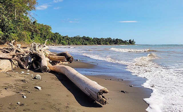 The Minister emerged from the jungle along the isolated Playa Sirena. c/o Bernard Gagnon, wikicommons.