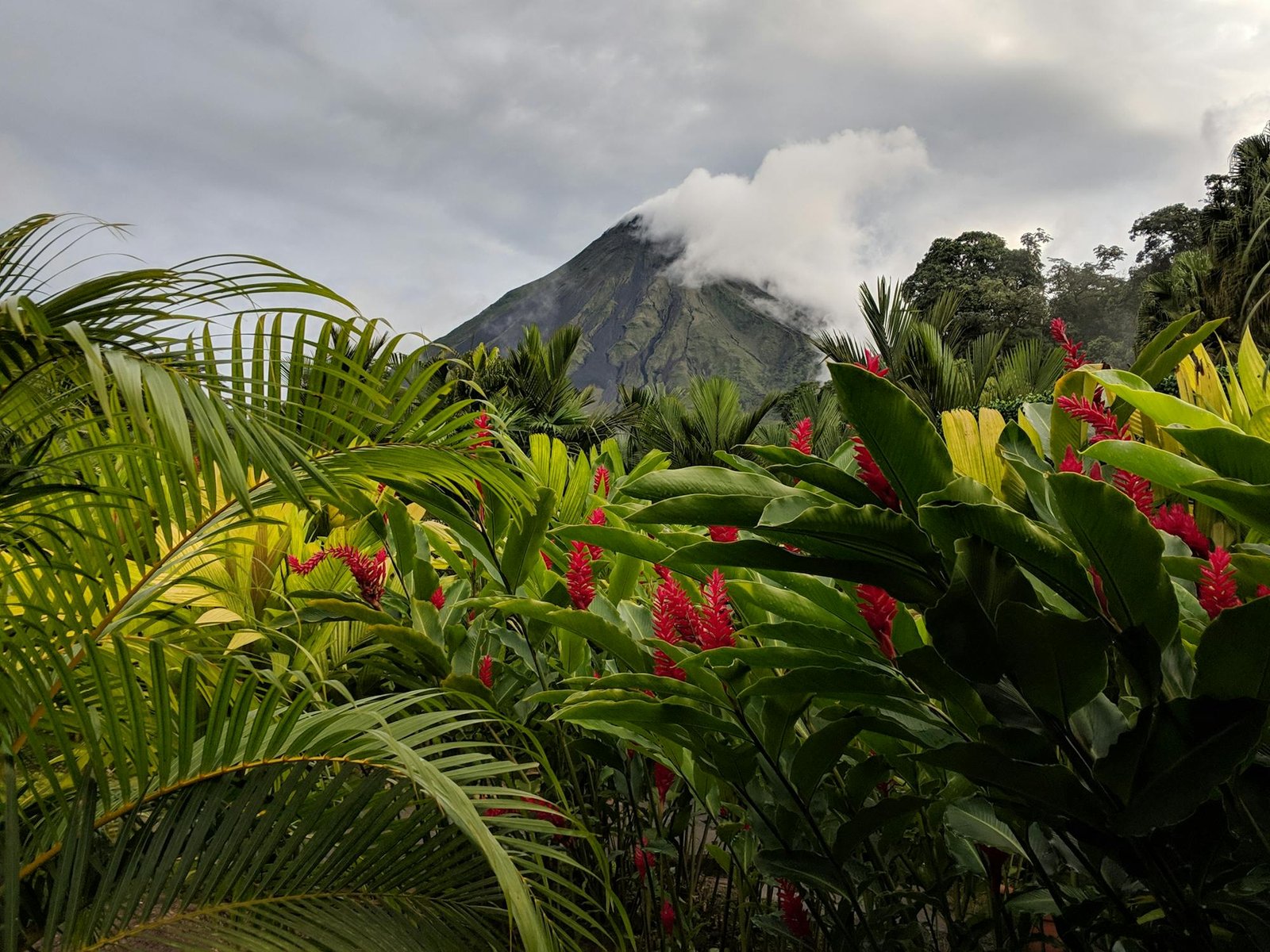 It is easy to find your center when you are surrounded by primeval energy, peace, and beauty - like these vistas of the Arenal volcano. c/o Dominic SImecek.
