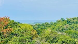 120010 Las Brisas Lot01