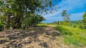 120010 Las Brisas Lot17