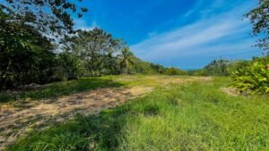 120010 Las Brisas Lot19