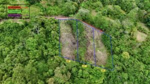 Copia de dji_fly_20250122_133810_0676_1737744940466_photo