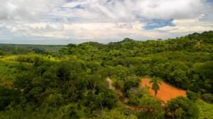 DJI_20240812105658_0225_D