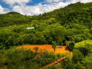 DJI_20240812105848_0227_D