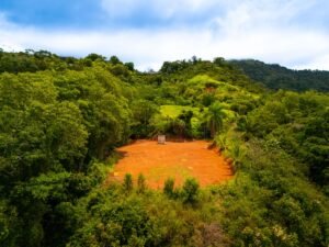 DJI_20240812110023_0229_D