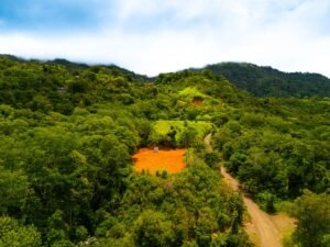 DJI_20240812110117_0230_D