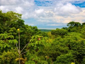 DJI_20240812110218_0231_D