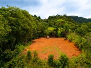 DJI_20240812110302_0232_D