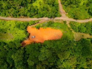 DJI_20240812110433_0234_D