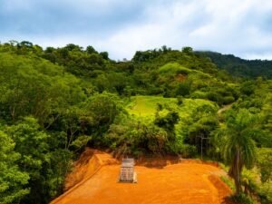 DJI_20240812110640_0236_D