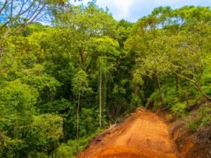 DJI_20240812110750_0239_D